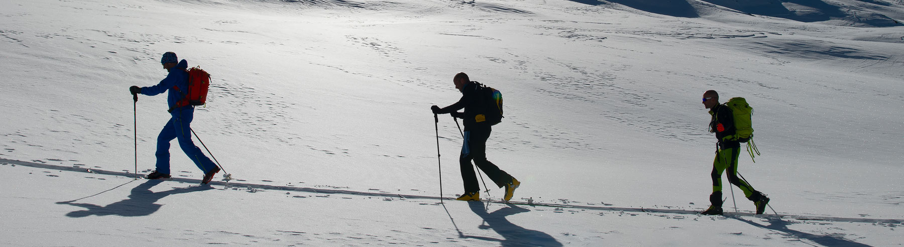 Pusch-Terkl Personalconsult