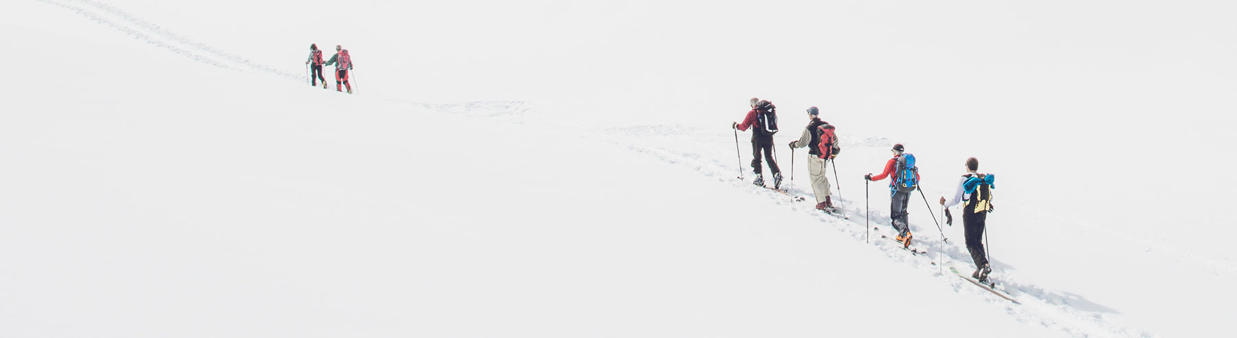 Pusch-Terkl Personalconsult